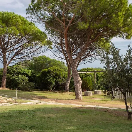 Trilo 6 * Villaputzu